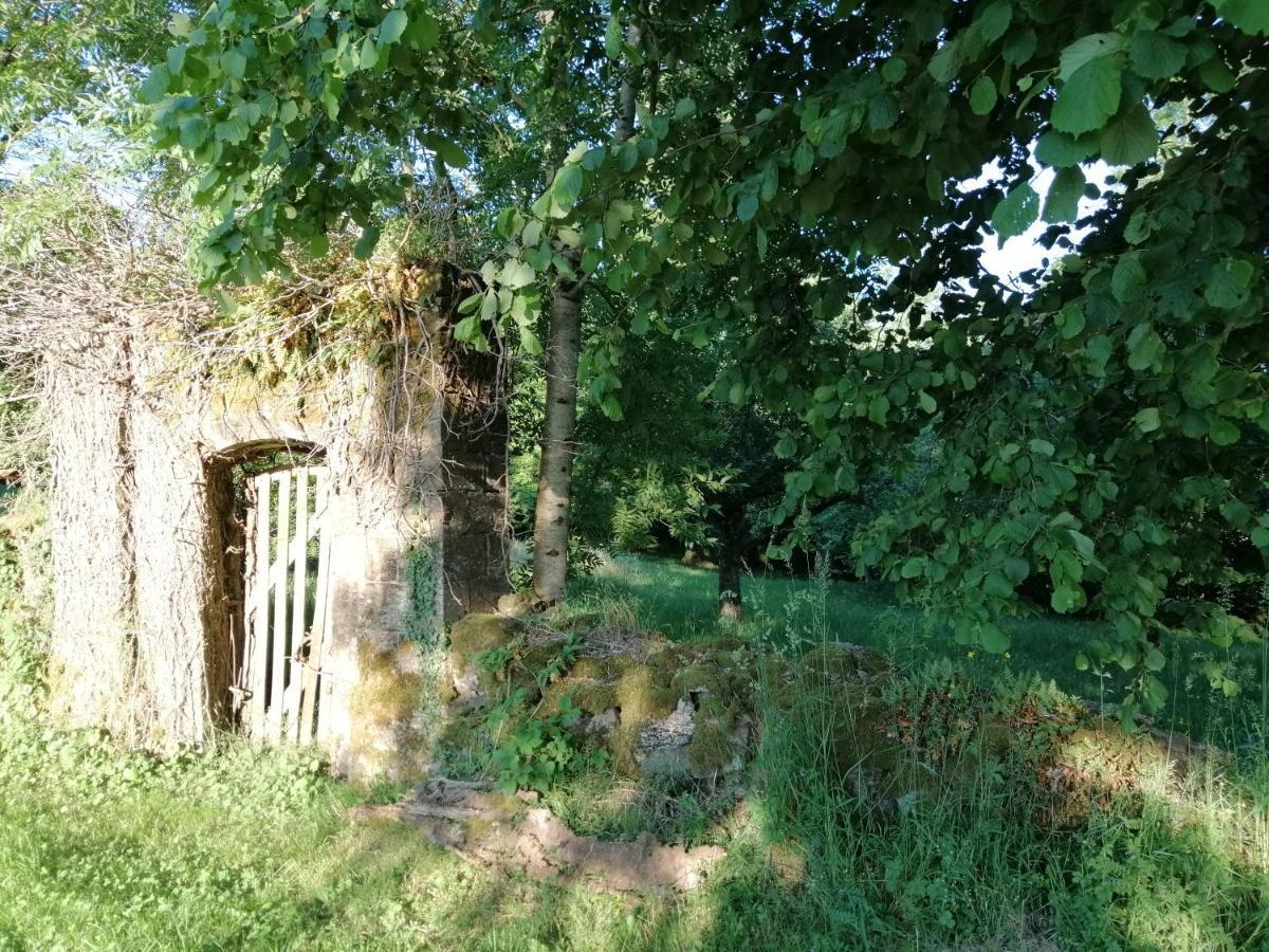 Le Miraillet, Gite Saint-Illide Exterior foto