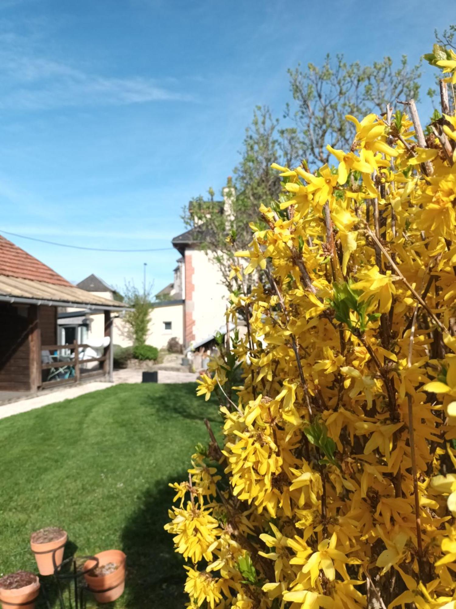 Le Miraillet, Gite Saint-Illide Exterior foto